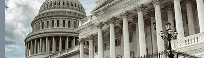 Top IT Solutions for Government Contractors